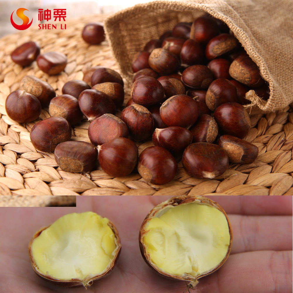 Bulk chinese chestnuts for sale