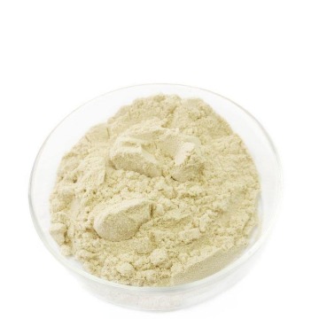 High-Quality Selenium Enriched Yeast Powder: An Exceptional Feed Yeast Additive