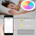 Voice-Controlled Led Smart Panel Light for Home