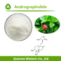 Экстракт Andrographis paniculata Androgrographolide 99% цена