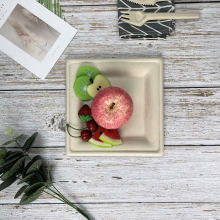 Biodegradable Compostable Disposable Rectangle Tray