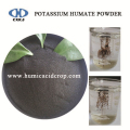 umido di potassio umico acido solubile in acqua