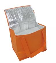 Medium Insulated Lunch Cooler Bag