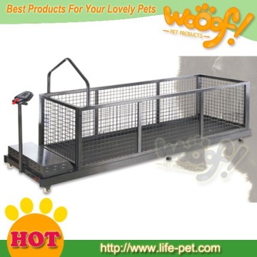 big dog motorized treadmill