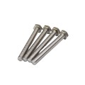 OEM Fastener thép không gỉ đánh bóng niken