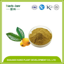 Loquat Leaf Extract Ursolic Acid 25%