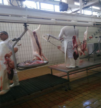 Pig Slaughterhouse Equipment: Complete Abattoir Slaughtering Line