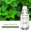 100 ٪ روغن پونه کوهی طبیعی خالص قیمت عمده فروشی Orinmanum Origanum 90 ٪ روغن Oregano Carvacrol Oregano