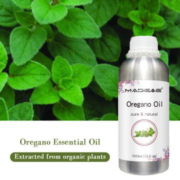 น้ำมันออริกาโนธรรมชาติบริสุทธิ์ 100% ราคาขายส่งน้ำมัน Origanum 90% Carvacrol Oregano Oregano