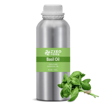 Wholesale Bulk Basil Essential Oil Bulk Basil Oil 100% Pure Natural Basil Oil for Skin Cosmetic Aromatherapy