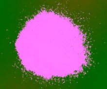 E-Glass Assembled Rovings for Spray-up