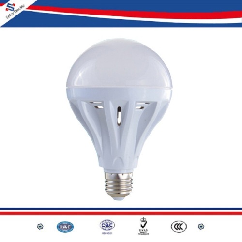 Warm White Cool White 12W LED Lighting Bulbs