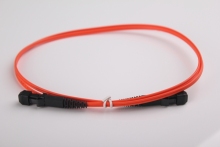 MTRJ Multimode Fiber Optic Patch Cord