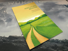 Cheap saddle stitch booklet printing