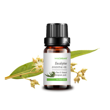 Water Soluble Eucalyptus Essential Oil Skin Care Massage