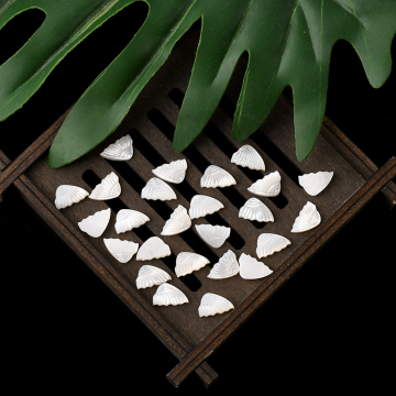 White Shells Special Shape Size Custom Wholesale