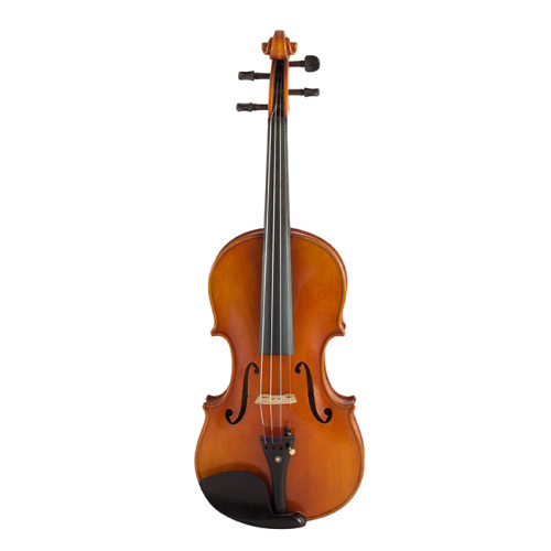 Violon avancé Handmde professionnel de haute qualité