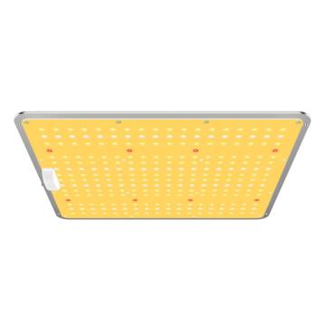 LED cuántico Grow Light Dimmable