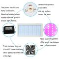 300W Kuasa Tinggi Lampu LED Grow Light