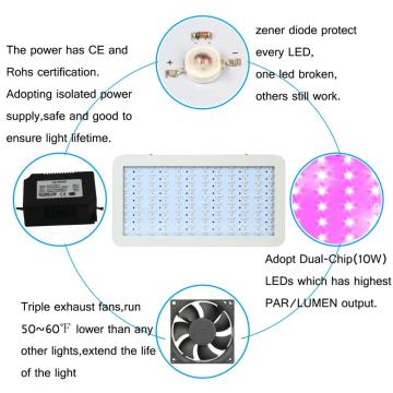 Focos dobles LED crecen luces para hierba