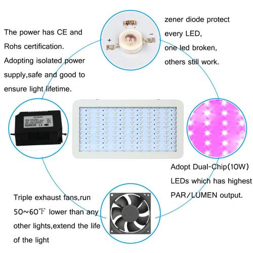 La pianta del LED ad alta potenza 300W cresce la luce