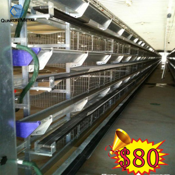 Egg Laying Hen Cages