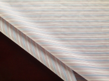 White Stripe Dobby Fabric for Shirt Yarn Dyed Poplin (038)