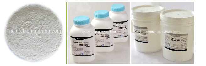 Natamycin Food Preservative.jpg