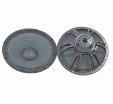 Professional 15" Parts Speaker?