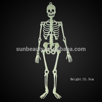 human skeleton model