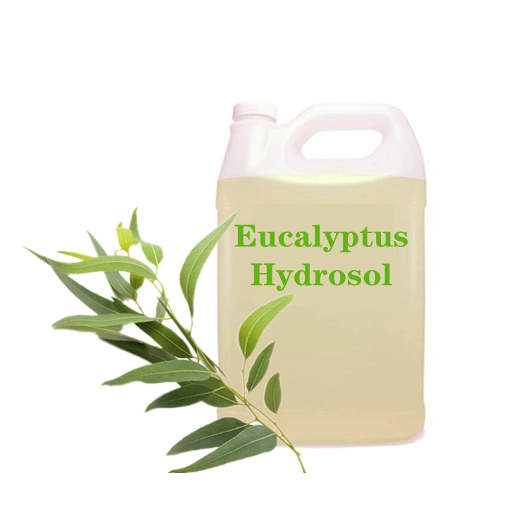 Hidrosol Eucalyptus alami untuk dijual kembali