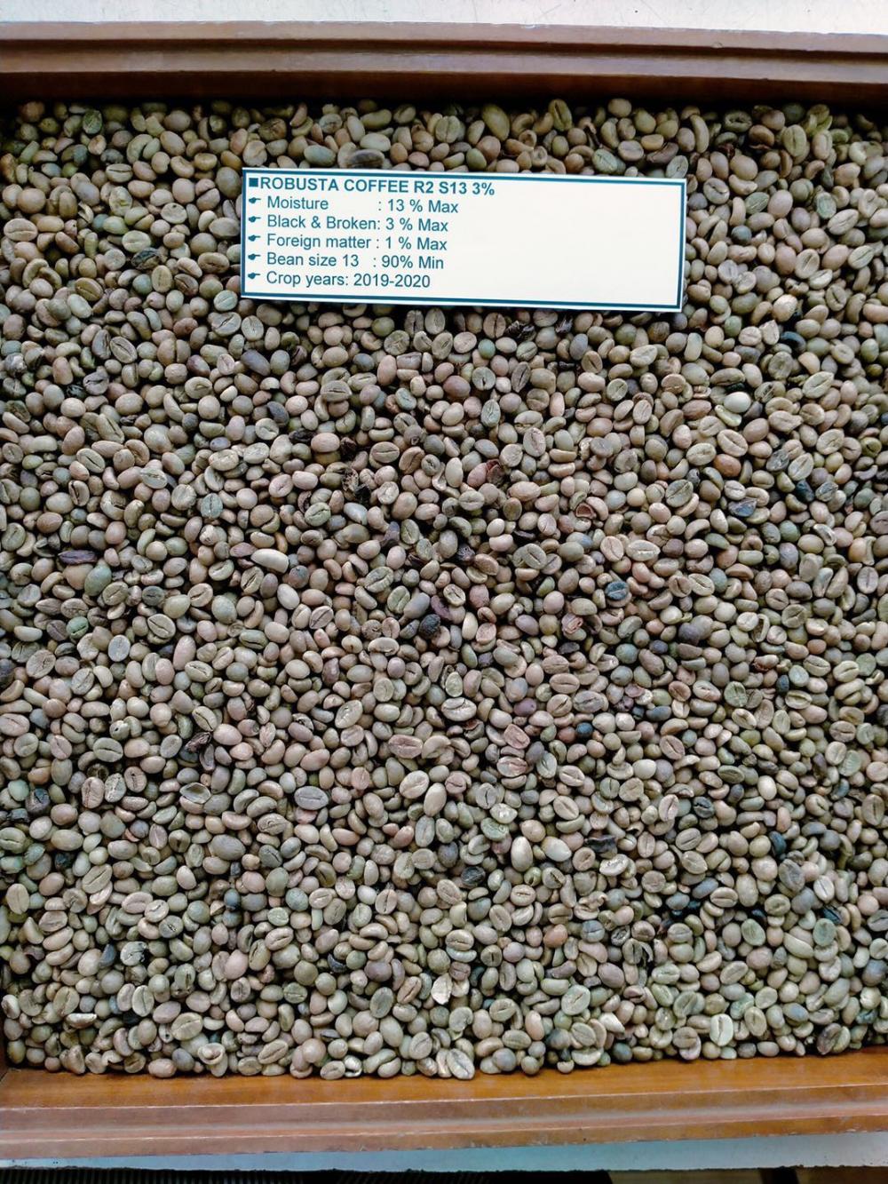 Cà phê Robusta/Hạt cà phê xanh arabica