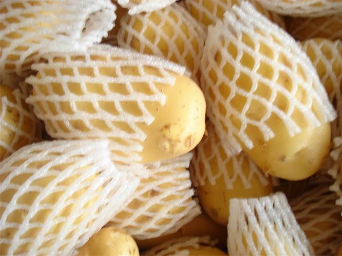 بطاطس هولاند كبيرة صفراء طازجة وذات ذوق رفيع