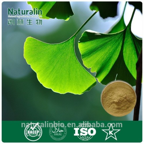 pure ginkgo biloba extract for preventing cardiovascular diseases