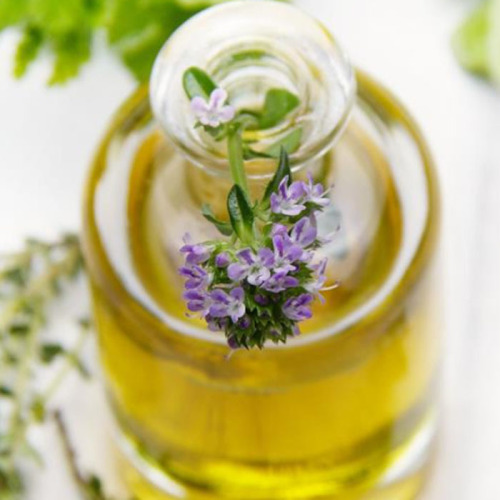 Thymus Essential Oil Or Thyme Oil CAS 8007-46-3