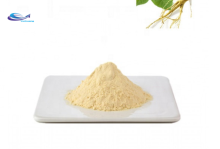 Hot Selling Best Price mango fruit juice extract