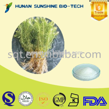 Huperzia serrata extract Huperzine A