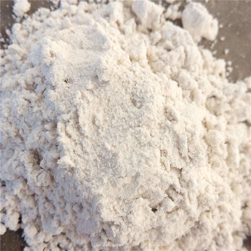 Diatomeas Diatomaceous
