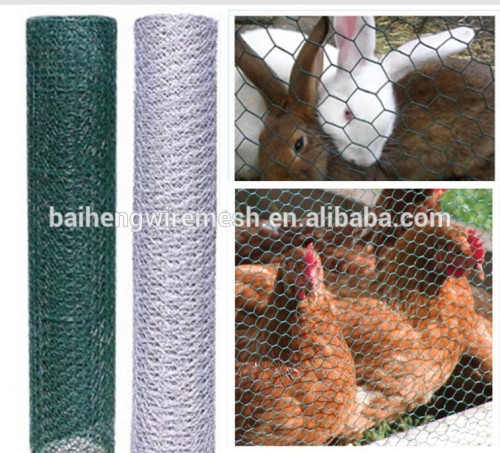 hot dipped galvanized hexagonal wire mesh for chicken