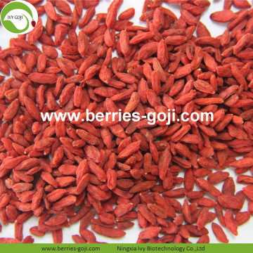 Good Quality For Sale Dried Conventional Goji Berry
