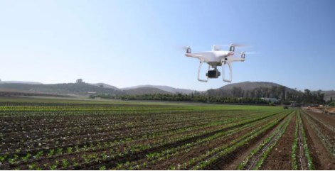 DJI P4 Multispectral mapping drone for Precision agriculture AND Environmental monitoring and inspection