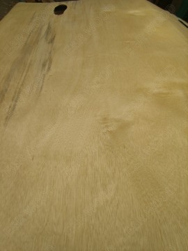 Back grade White Planchonella Veneer for Furniture plywood