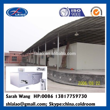 freezer for chicken meat