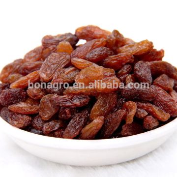 sultana raisin Xinjiang origin