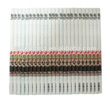 High quality plastic cute mechanical coloured pencil