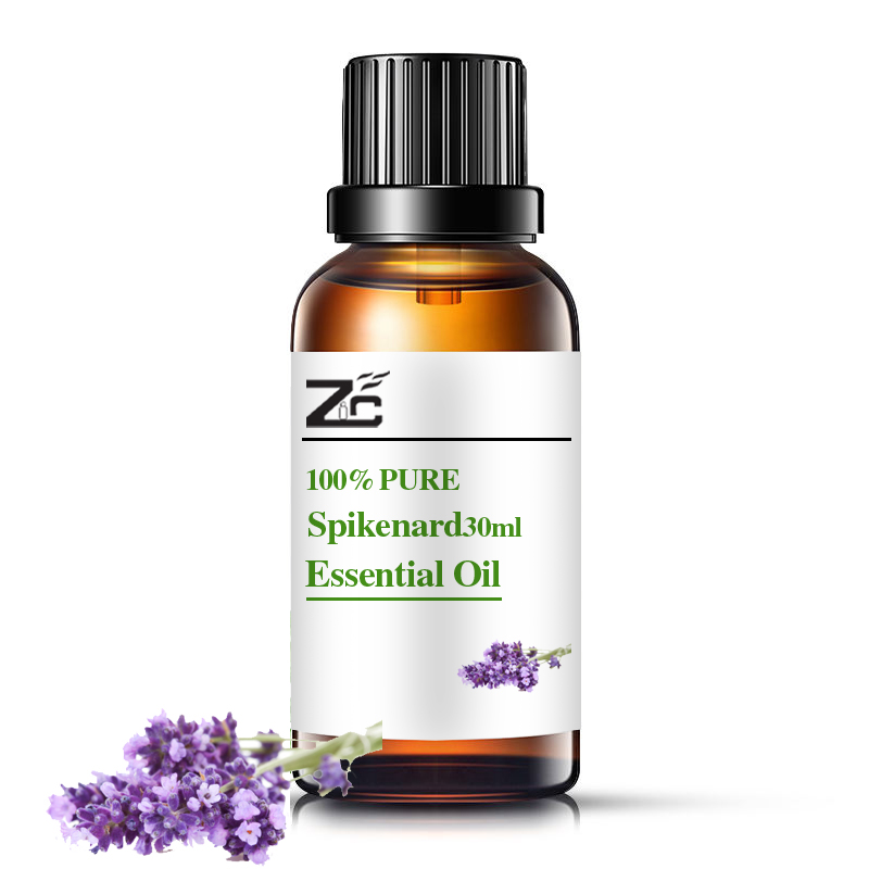 น้ำมัน Spikenard ในราคาขายส่งน้ำมัน Spikenard น้ำมัน Spikenard ที่ได้รับการรับรอง