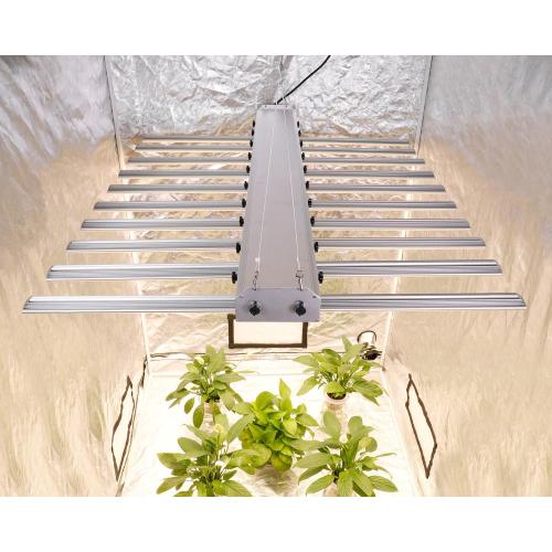 800W LED Grow Bars để làm vườn thẳng đứng