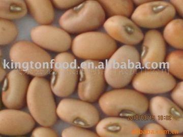 Cowpea