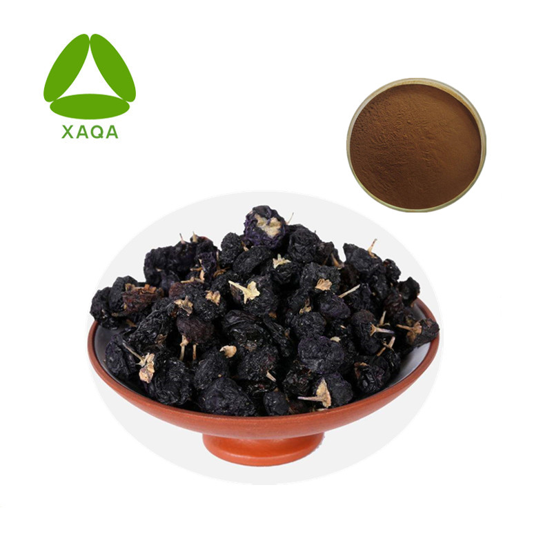 Schwarzer Wolfsbeere-Extrakt Black Wolfberry extract