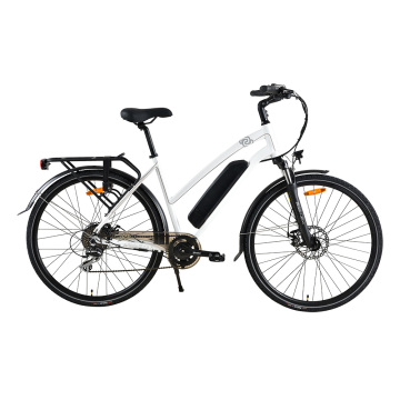 XY-Passion Electric city bike hot sale